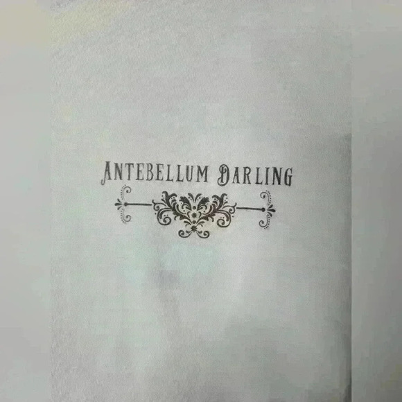 Women's Antebellum Darlings baby blue tee. Size S - Picture 2 of 4